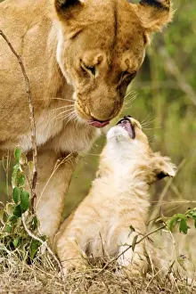 Cute Prints: Picture No. 10899729