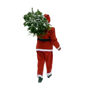 Outfit Collection: Picture No. 10899901