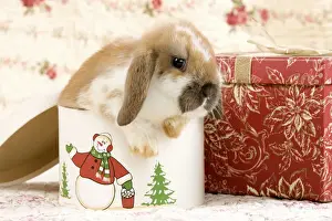 Gift Prints: Picture No. 10900079