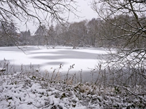 Images Dated 20th January 2013: Picture No. 10900274