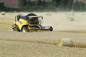 Harvests Prints: Picture No. 10900333