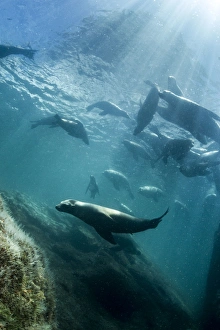 Images Dated 19th August 2012: Picture No. 10900413