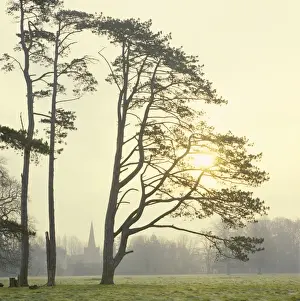 Sunrises Prints: Picture No. 10900447