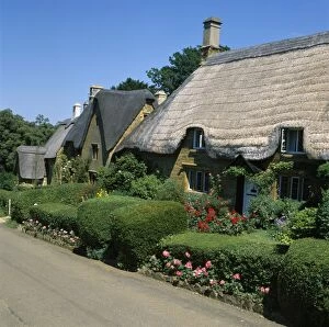 Thatch Collection: Picture No. 10900454