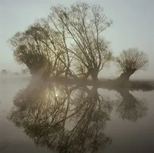 Thames Prints: Picture No. 10900456