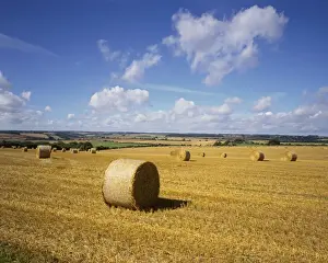 Gloucestershire Prints: Picture No. 10900499