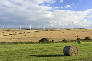 Bales Prints: Picture No. 10900543