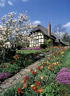 Cottages Prints: Picture No. 10900547