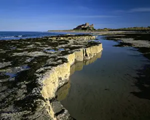 Bamburgh Prints: Picture No. 10900564