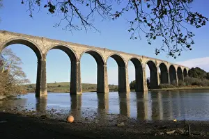Rail Prints: Picture No. 10900590