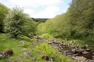 Brecon Prints: Picture No. 10900619