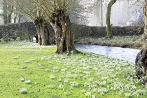 Riverside Prints: Picture No. 10900683