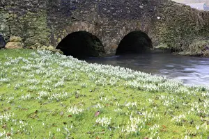Riverside Prints: Picture No. 10900684