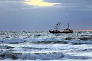 Trawlers Prints: Picture No. 10900957