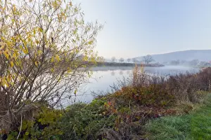 Lowland Prints: Picture No. 10900988