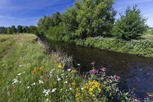 Images Dated 1st August 2012: Picture No. 10900990
