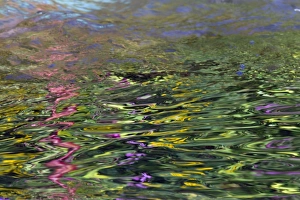 Images Dated 19th August 2012: Picture No. 10900991