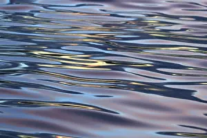 Ripples Prints: Picture No. 10901152