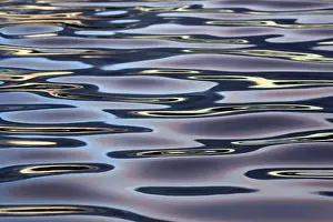 Ripples Prints: Picture No. 10901153