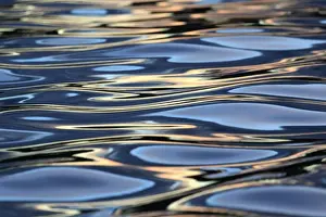 Ripples Prints: Picture No. 10901154