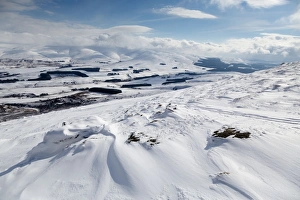 Images Dated 2013 March: 