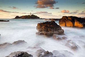 Images Dated 2nd February 2013: Picture No. 10901292