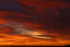 Images Dated 18th April 2012: Picture No. 10901560