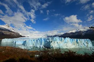 Argentinian Prints: Picture No. 10901561