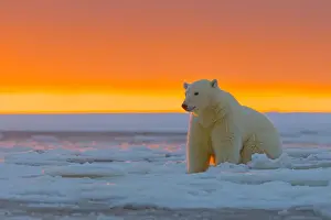 Sunsets Prints: Picture No. 10901655