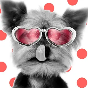 Heart Prints: Picture No. 10901747