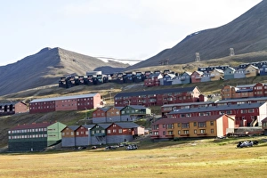 Images Dated 19th August 2012: Picture No. 10901829