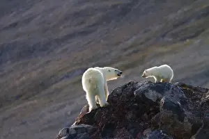 Picture No. 10901870