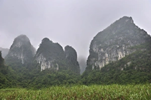 Images Dated 9th January 2012: Picture No. 10909617