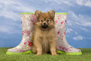 Cute Prints: Picture No. 10922358