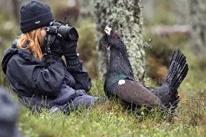 Photographers Prints: Picture No. 10946889