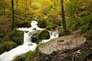 Mill Prints: Picture No. 10947109