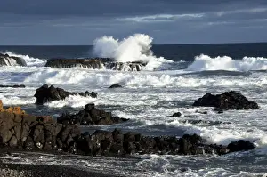 Waves Prints: Picture No. 10947395