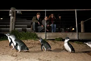 Picture No. 10947397