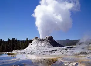 Yellowstone Prints: Picture No. 10947529