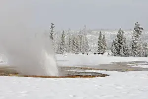 Geyser Prints: Picture No. 10947658