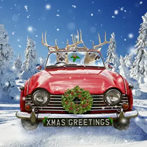 Transport Prints: Picture No. 10947774