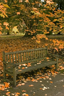 Images Dated 24th October 2013: Picture No. 10947784