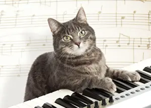 Instruments Prints: Picture No. 10947897