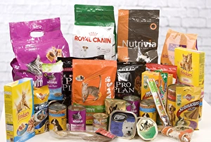 Images Dated 24th January 2012: Picture No. 10947924