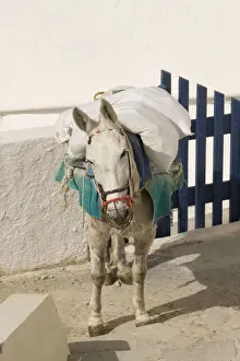 Greece Prints: Picture No. 10947947