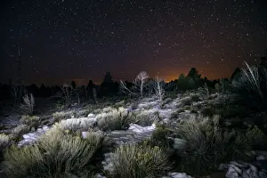 Stars Prints: Picture No. 10982729