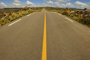 Tarmac Collection: Picture No. 10983136