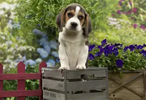 Crates Prints: Picture No. 10983350