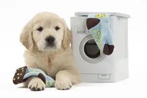 Machine Prints: Picture No. 10983438