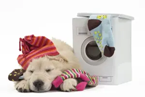 Machine Prints: Picture No. 10983439